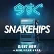 Snakehips - Right Now